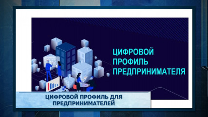 в России появился цифровой профиль предпринимателя для упрощения доступа к мерам господдержки - фото - 1